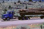 Logging Truck, Trees, Highway, Shasta County, US Highway-97