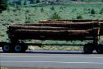 Logging Truck, Trees, Highway, Shasta County, US Highway-97, VCTV02P15_13.0568