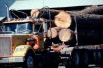 Logging Truck, Trees