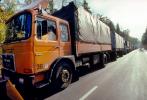 MAN 19-280, waiting on the border to Germany, Semi-trailer truck, Semi, VCTV03P01_14.0568