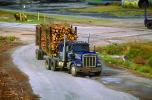 Logging Truck, Trees, Kenworth, Semi, VCTV03P03_09.0568