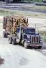 Logging Truck, Trees, Kenworth, Semi, VCTV03P03_09B