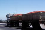 tomato, Interstate Highway I-80, farm products bulk, cabover, west of Sacramento
