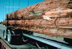 Logging Truck, VCTV04P07_04.0569