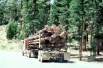 Logging Truck, Semi, east of Lake Almador, Highway 36