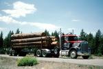 Kenworth, Logging Truck, Semi, Chester, Plumas County