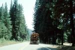 Logging Truck, Chester , Chester, Plumas County, VCTV05P09_13