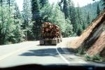 Logging Truck, South of Lake Amador