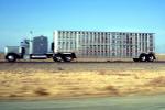 cattle truck, Interstate Highway I-5 near the Grapevine, Semi-trailer truck, Semi, VCTV05P12_07