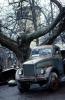 Russian Truck, wet, rain, tree
