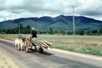 Bamboo Logs, Hills, mountains, cattle, road, cart, sticks, Thailand
