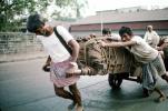 Men, Pulling a cart, Pushing, on the Streets of Mumbai, VCVV01P01_11