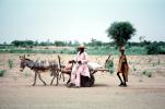 Donkey, Cart, Desert, Person, VCVV01P03_04