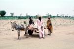 Donkey, Cart, Desert, Person, VCVV01P03_05