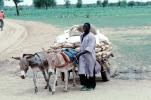 Donkey, Cart, Desert, Person, VCVV01P03_14