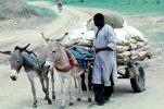Donkey, Cart, Desert, Person, VCVV01P03_15