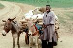Smiling Man, Donkey, Cart, Desert, Person