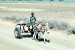 Donkey, Cart, Desert, Person, Somalia, VCVV01P04_06