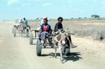 Donkey, Cart, Desert, Person, Somalia, VCVV01P04_07