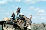 Donkey, Cart, Desert, Person, Somalia, VCVV01P04_09