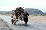 Donkey, Cart, Mitla, Oaxaca