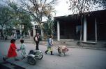 girls pushing a cart, vegetables, street, Samarkand, Uzbekistan