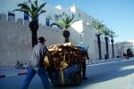Man, Cart, Essaouira, Morocco, VCVV01P10_16