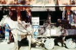 Man, Cart, Essaouira, Morocco, VCVV01P11_03