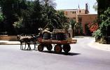 Socony Vacuum, Marrakech, 1952, 1950s