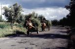 Hay Wagons, Horses, road, VCVV01P15_03