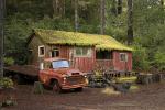 Chevy Flatbed Truck, home, house, domestic, moss, Mendocino County, Chevrolet, VCZD01_018