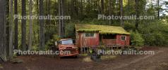 House with Moss Roof, woods, cottagecore, Mendocino County, Panorama