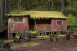 Building, Home, House, Moss, Mendocino County, VCZD01_020