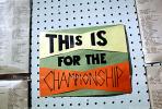 This is for the Championship, VFRV01P10_15