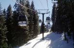 Pylon, Castors and Roller systems, Palisades Tahoe, pine trees, evergreen