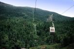 Cableway Gondola, Mountain Forest, Pine Trees, August 1961