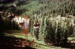 Ski Basin, Forest, Trees, Santa-Fe, New Mexico