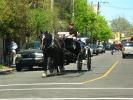 Horse and Buggy, VHCD01_003