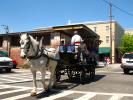 Horse and Buggy, VHCD01_005