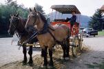 Horse and Buggy, New Hampshire, 1950s, VHCV01P01_13