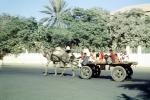 Camel, Cart using US Army Ordance Wheels, Karachi, 1951, 1950s, VHCV01P02_01