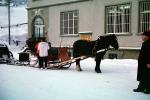 Horse with a sled, cold, ice, Grindelwald, 1950s, VHCV01P02_06