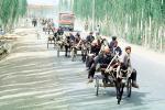 Donkey, freright carts, Serikbuya, Xinjiang, China, VHCV01P11_02