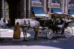 Horse and Buggy, Verona Italy