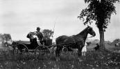 Horse and Buggy, 1890's, VHCV02P04_13