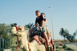 Girls Riding a Camel, Lido, Dead Sea, VHDV01P02_18