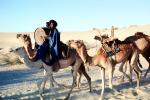 Man Riding a Camel, VHDV01P03_10