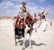 Woman on a Camel, Cairo, Egypt, VHDV01P03_12