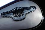 Harley-Davidson, Gas Tank, 95-Years, VMCV02P08_03