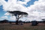 Africa, Land-Rover